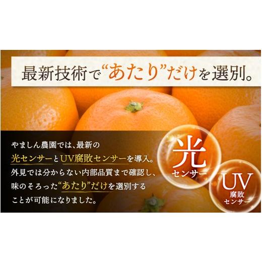 ふるさと納税 果物類 みかん 和歌山県 紀美野町 ＼光センサー選別／極 有田みかんプレミアム 約2kg 選りすぐりの上位20％をお届け 2S〜L＼サイズ 有機質肥料10… |  | 05