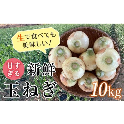 ふるさと納税 野菜類 玉ねぎ 群馬県 富岡市 2026年発送 先行予約 甘すぎる新鮮玉ねぎ 10kg(2026年6月20日〜6月30日頃出荷) 減農薬減 化学肥料 生食 たまね…