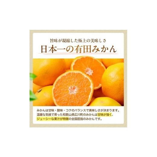 ふるさと納税 果物類 みかん 和歌山県 広川町 有田みかん 極 プレミアム 5kg (2S〜Lサイズ) 光センサー選別 ／ 温州みかん みかん 甘い 高級 和歌山 柑橘 2026… |  | 03