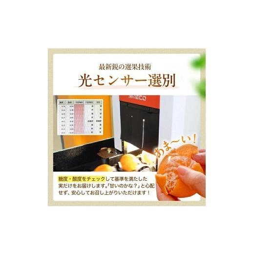 ふるさと納税 果物類 みかん 和歌山県 広川町 有田みかん 極 プレミアム 5kg (2S〜Lサイズ) 光センサー選別 ／ 温州みかん みかん 甘い 高級 和歌山 柑橘 2026… |  | 04