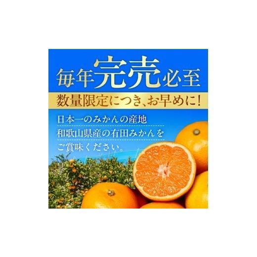 ふるさと納税 果物類 みかん 和歌山県 広川町 有田みかん 極 プレミアム 5kg (2S〜Lサイズ) 光センサー選別 ／ 温州みかん みかん 甘い 高級 和歌山 柑橘 2026… |  | 05