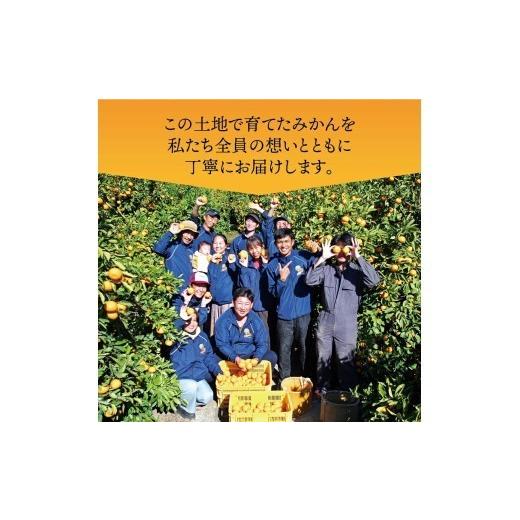 ふるさと納税 果物類 みかん 和歌山県 広川町 有田みかん 極 プレミアム 5kg (2S〜Lサイズ) 光センサー選別 ／ 温州みかん みかん 甘い 高級 和歌山 柑橘 2026… |  | 06