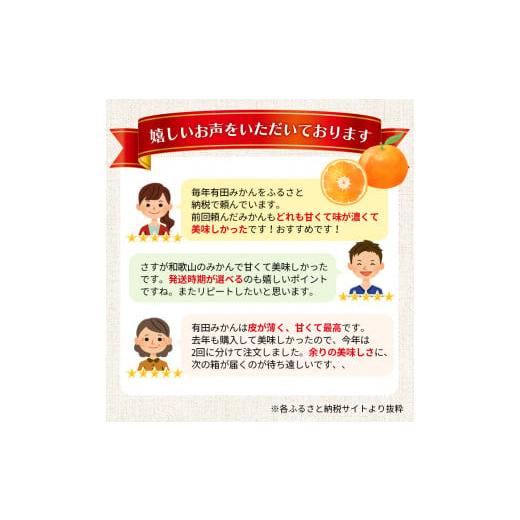 ふるさと納税 果物類 みかん 和歌山県 紀美野町  2026年11月発送予約分 ＼光センサー選別／ 農家直送 家庭用 こだわりの有田みかん 約2kg 先行予約 有機質肥料… |  | 02