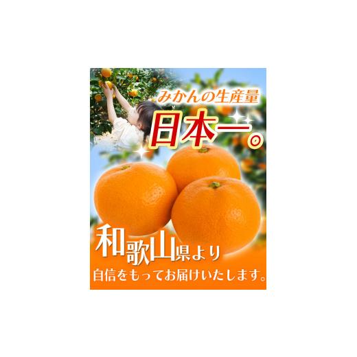 ふるさと納税 果物類 みかん 和歌山県 紀美野町  2026年11月発送予約分 ＼光センサー選別／ 農家直送 家庭用 こだわりの有田みかん 約2kg 先行予約 有機質肥料… |  | 03