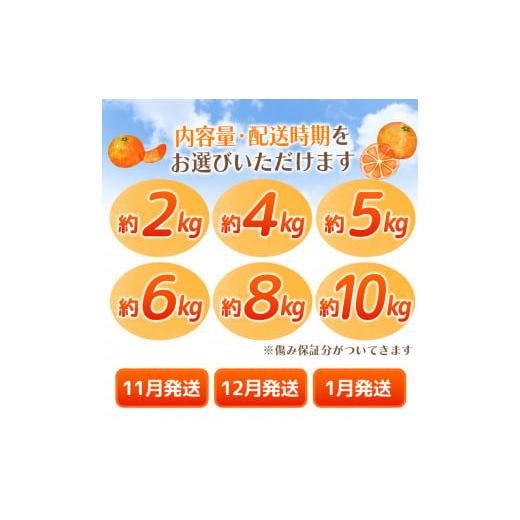 ふるさと納税 果物類 みかん 和歌山県 紀美野町  2026年11月発送予約分 ＼光センサー選別／ 農家直送 家庭用 こだわりの有田みかん 約2kg 先行予約 有機質肥料… |  | 04
