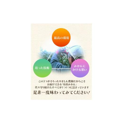 ふるさと納税 果物類 みかん 和歌山県 紀美野町  2026年11月発送予約分 ＼光センサー選別／ 農家直送 家庭用 こだわりの有田みかん 約2kg 先行予約 有機質肥料… |  | 07