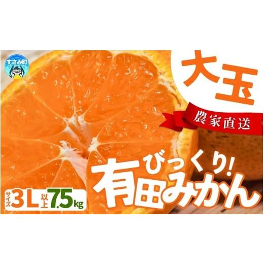 ふるさと納税 果物類 みかん 和歌山県 すさみ町 農家直送 有田みかん 大玉3L以上 約7.5kg 有機質肥料100% 2026年11月〜12月に順次発送予定(お届け日指定不可)…