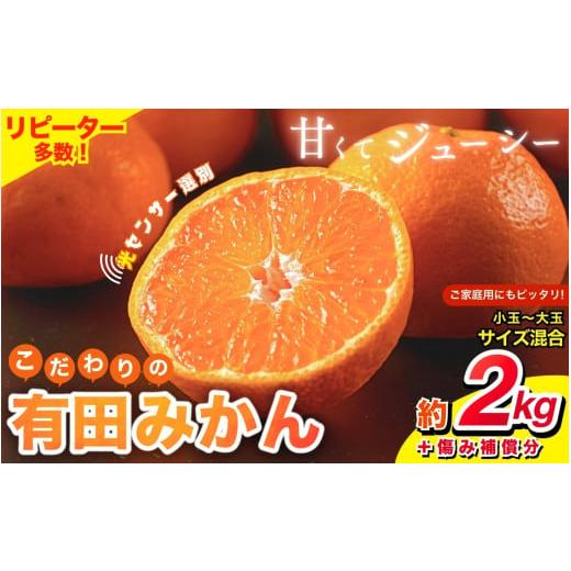 ふるさと納税 果物類 みかん 和歌山県 すさみ町 こだわりの有田みかん 2025年12月発送 みかん 有田みかん 家庭用 約2kg+250g (傷み補償分) サイズ混合 ＼光…