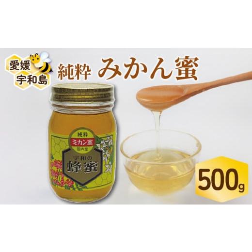 ふるさと納税 加工品等 はちみつ 愛媛県 宇和島市 国産はちみつ みかん蜜 500g ギフト箱入 元気や みかん 愛媛みかん mikan 人気ハチミツ 国産純粋はちみつ 蜂…