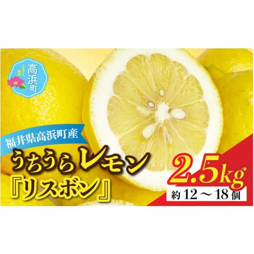 ふるさと納税 みかん・柑橘類 レモン 福井県 高浜町 先行予約 日本海で育ったうちうらレモン「リスボン2.5kg」皮まで丸ごと食べられます 12月下旬ごろ順次発…