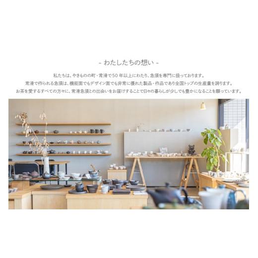 ふるさと納税 陶磁器・漆器・ガラス 愛知県 常滑市 常滑焼急須 TAKASUKE（kuro-1後手） kuroの画像