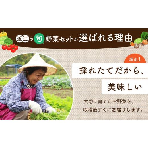 ふるさと納税 セット・詰合せ 滋賀県 東近江市 季節の旬野菜セット 産地直送 あいとうマーガレットステーション 滋賀県 東近江市 A51 野菜 詰め合わせ セット …の画像