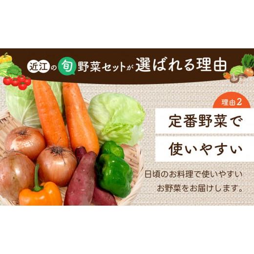 ふるさと納税 セット・詰合せ 滋賀県 東近江市 季節の旬野菜セット 産地直送 あいとうマーガレットステーション 滋賀県 東近江市 A51 野菜 詰め合わせ セット …の画像