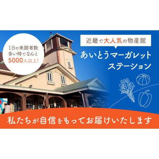 ふるさと納税 セット・詰合せ 滋賀県 東近江市 季節の旬野菜セット 産地直送 あいとうマーガレットステーション 滋賀県 東近江市 A51 野菜 詰め合わせ セット …の画像