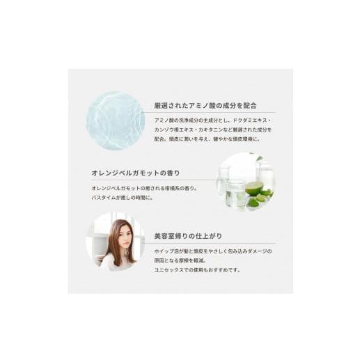 ふるさと納税 美容 山梨県 富士吉田市  定期便 半年間に3回 隔月 お届け 「ベストシャンプー10傑」に選ばれたスカルプヘアケアセット\u0026詰め替えセット スカ…の画像
