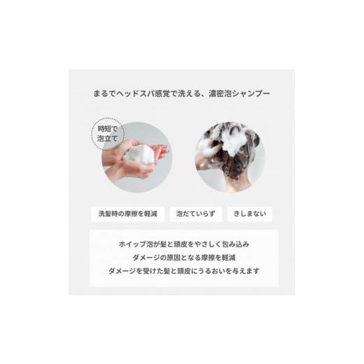 ふるさと納税 美容 山梨県 富士吉田市  定期便 半年間に3回 隔月 お届け 「ベストシャンプー10傑」に選ばれたスカルプヘアケアセット\u0026詰め替えセット スカ…の画像