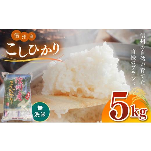 ふるさと納税 長野県 松本市 無洗米 信州産こしひかり 5kg×1袋 | 米 コシヒカリ こしひかり 長野県 松本市 こめ