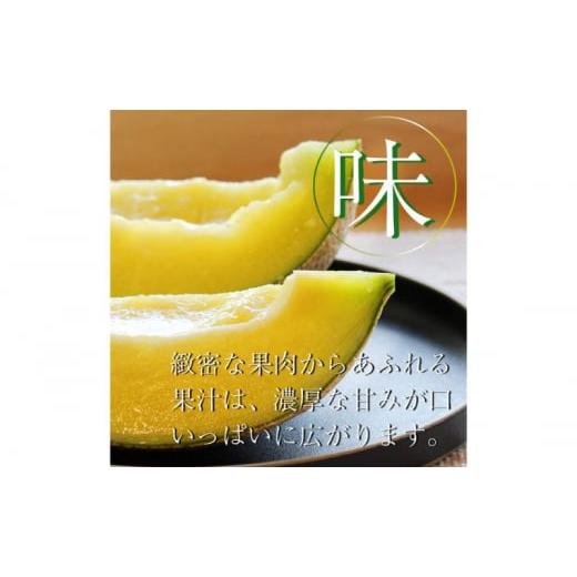 ふるさと納税 メロン メロン青肉 静岡県 浜松市  6ヶ月定期便 クラウンメロン 並（白等級） 小玉（1.1kg前後）6玉入り No.5786-5537の画像