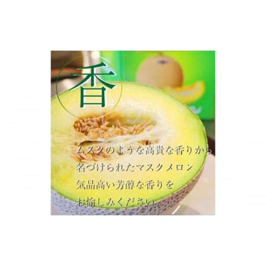 ふるさと納税 メロン メロン青肉 静岡県 浜松市  偶数月6ヶ月定期便 クラウンメロン 並（白等級） 小玉（1.1kg前後）6玉入り No.5786-5540の画像