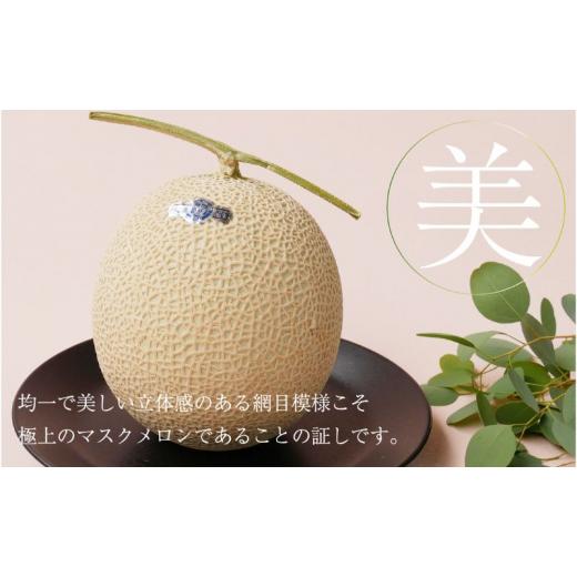 ふるさと納税 メロン メロン青肉 静岡県 浜松市  6ヶ月定期便 クラウンメロン 並（白等級） 特大玉（1.5kg前後）3玉入り No.5786-5555の画像
