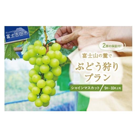 ふるさと納税 ぶどう マスカット 山梨県 富士吉田市 富士吉田市産 ブドウ狩りプラン(シャインマスカット) ぶどう 葡萄 体験 収穫 フルーツ狩り 果物狩り フル…