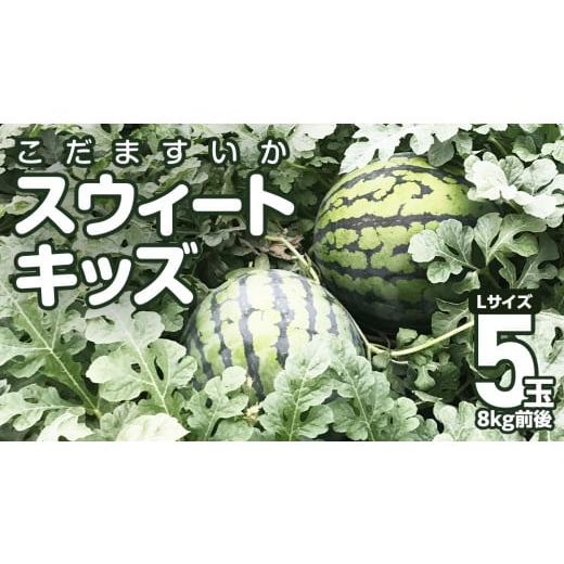 ふるさと納税 茨城県 筑西市 地下水100%で作る美味しい 「 こだますいか 」 5玉入り スウィートキッズ すいか スイカ 小玉スイカ こだまスイカ 西瓜 フルーツ…