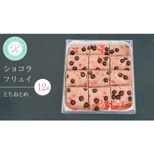 ふるさと納税 菓子 チョコレート 茨城県 つくばみらい市 ショコラフリュイ とちおとめ 12枚 チョコレート チョコ スイーツ デザート 高級 ギフト 贈り物 お礼 … | 