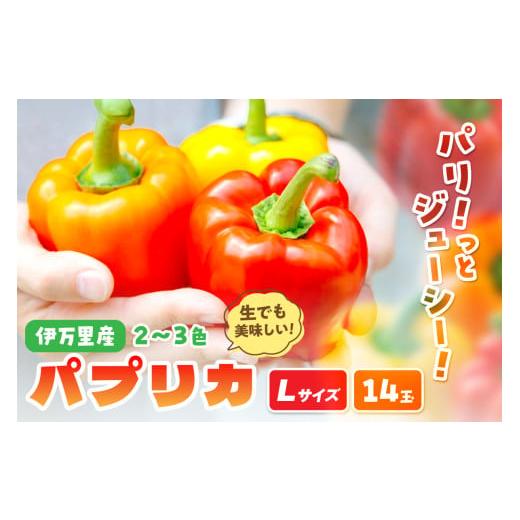 ふるさと納税 野菜類 佐賀県 伊万里市 伊万里産 肉厚ジューシー パプリカ Lサイズ14玉入