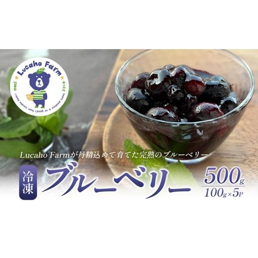 ふるさと納税 加工品等 香川県 東かがわ市   ブルーベリー Lucaho Farm 100g×5p 香川県産 冷凍ブルーベリー 冷凍ブルーベリー フルーツ 果物 く…