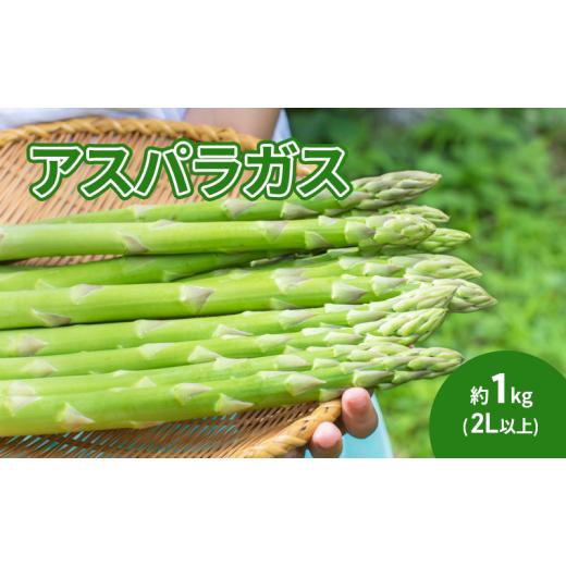 ふるさと納税 野菜類 アスパラガス 長野県 駒ヶ根市 アスパラガス 約1kg(2L以上)  