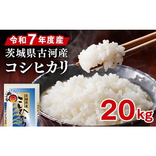 ふるさと納税 米 コシヒカリ 茨城県 古河市 令和7年産 古河市産 コシヒカリ 20kg（5kg×4袋）| 米 こめ コメ 20キロ 精米 こしひかり 単一米 国産 古河市産 茨…の画像