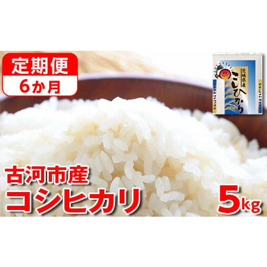 ふるさと納税 米 コシヒカリ 茨城県 古河市 定期便 6か月 新米 令和7年産 古河市産コシヒカリ 5kg | 米 こめ コメ 5キロ 定期便 精米 こしひかり 単一米 国産…