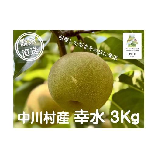 ふるさと納税 梨 長野県 中川村 農家直送 於利屋荒井農園のなし(幸水)約3Kg