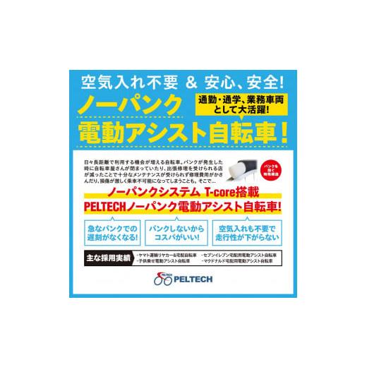 ふるさと納税 自転車 電動アシスト自転車 大阪府 堺市 PELTECH（ペルテック）ノーパンク 折り畳み電動アシスト自転車 20インチ折り畳み外装6段変速 （TDN-212L&hellip;