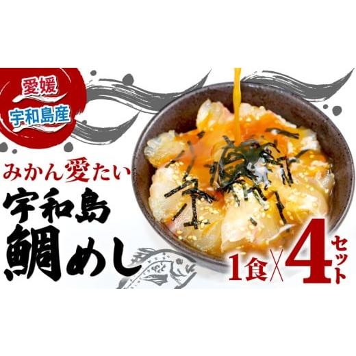 ふるさと納税 旬の鮮魚等 愛媛県 宇和島市 海鮮丼 鯛 鯛めし 4食 宇和島 鯛 南予ビージョイ 生鯛めし 真鯛 鯛 マダイ タイ tai 刺身 お刺身 刺し身 漬け丼 漬…