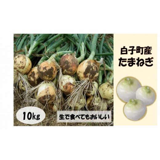 ふるさと納税 野菜類 玉ねぎ 千葉県 白子町  令和8年の先行予約 数量限定 白子町産 たまねぎ 10kg ふるさと納税 たまねぎ 玉ねぎ 白子玉ねぎ スライス サラダ…の画像