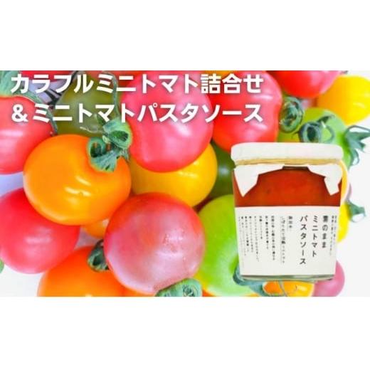 ふるさと納税 缶詰・瓶詰 愛媛県 東温市 「栗林農園」素のままパスタソースとカラフルミニトマト詰合せ  