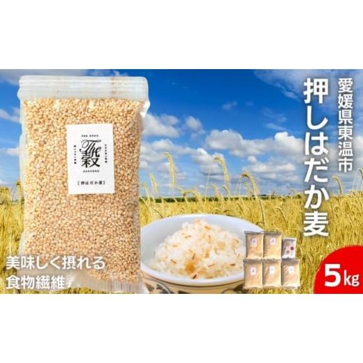 ふるさと納税 愛媛県 東温市 押しはだか麦5kgセット もち麦 