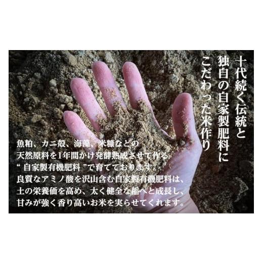 ふるさと納税 米 コシヒカリ 新潟県 - 令和7年産 定期便 2kg ×6ヶ月 最高金賞受賞 南魚沼産コシヒカリ 雪と技　農薬8割減・化学肥料不使用栽培_5