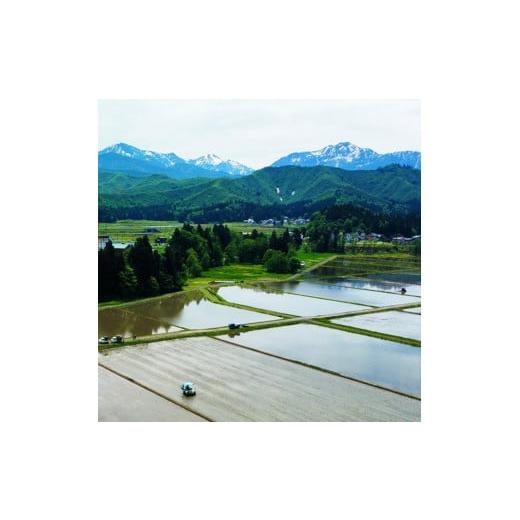 ふるさと納税 米 コシヒカリ 新潟県 - 令和7年産 定期便 2kg ×6ヶ月 最高金賞受賞 南魚沼産コシヒカリ 雪と技　農薬8割減・化学肥料不使用栽培_8