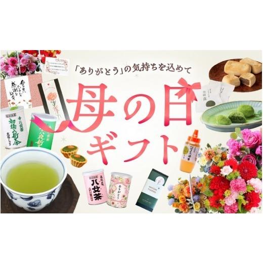 ふるさと納税 加工品等 はちみつ 福岡県 八女市 母の日ギフト 国産百花蜂蜜1kg（とんがり容器）×2本 はちみつ ハチミツ 母の日 お祝い プレゼント 贈り物 お…の画像