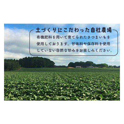 ふるさと納税 野菜類 サツマイモ 茨城県 行方市 DK-4  芋屋久兵衛 冷凍焼き芋 500ｇ×4袋の画像