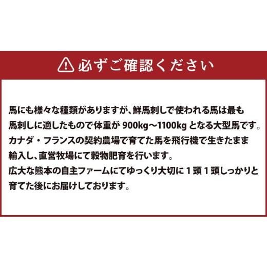 ふるさと納税 馬肉 熊本県 高森町  2ヶ月毎6回定期便 鮮馬刺し ヒレ ブロック 計約960g（約160g×6回）_4