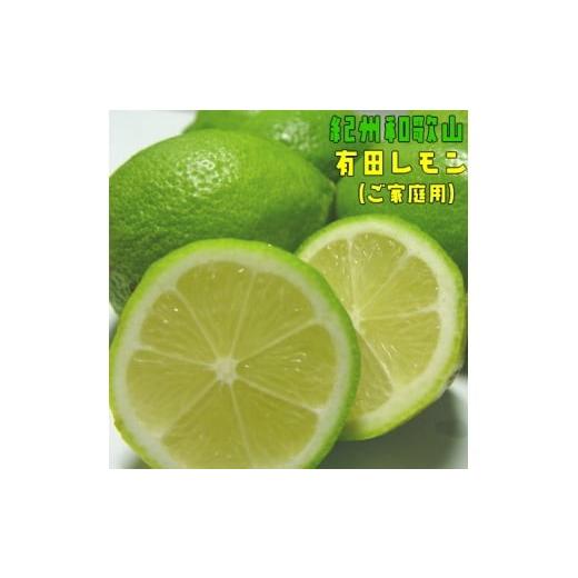 ふるさと納税 みかん・柑橘類 レモン 和歌山県 すさみ町 紀州和歌山 ご家庭用 有田 レモン 5kg+200g(痛み補償分) 着日指定不可 10月中旬〜2月下旬頃に順次発送…