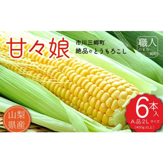 ふるさと納税 とうもろこし 山梨県 市川三郷町 市川三郷町産とうもろこし「甘々娘」A品2Lサイズ 6本入り 塩島和誌農園