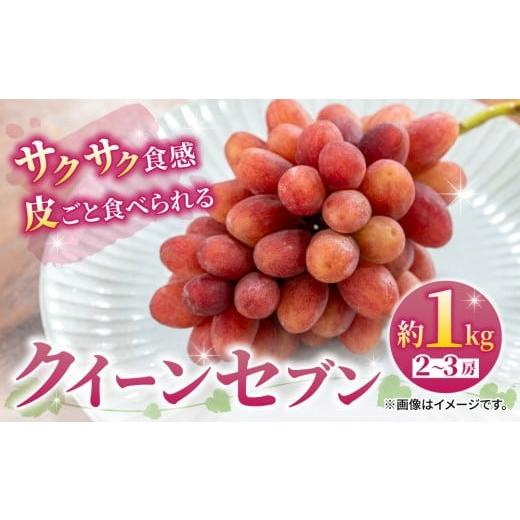 ふるさと納税 果物類 ぶどう 長野県 東御市 先行受付2026年発送 皮ごと食べられるクイーンセブン2〜3房(約1kg)|あおさく農園 2026年9月上旬以降発送予定…