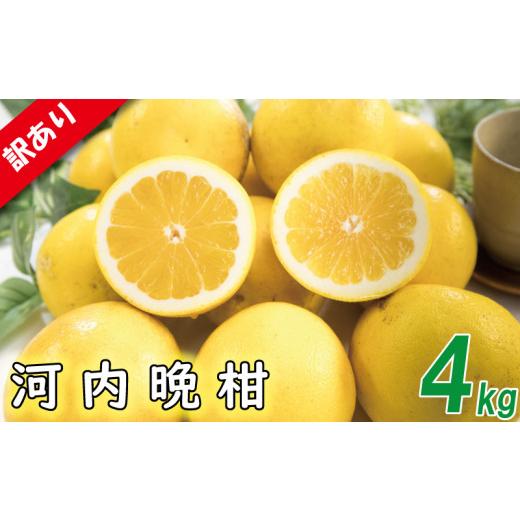 ふるさと納税 みかん・柑橘類 愛媛県 松山市 順次発送中 訳あり 河内晩柑 サイズ不揃い 約4kg