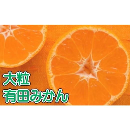ふるさと納税 果物類 みかん 和歌山県 かつらぎ町 訳あり・ご家庭用 完熟有田みかん サイズ混合(2L〜4L) 約2.7kg(2.5kg+200g) 2026年11月中旬〜1月中旬頃に順…