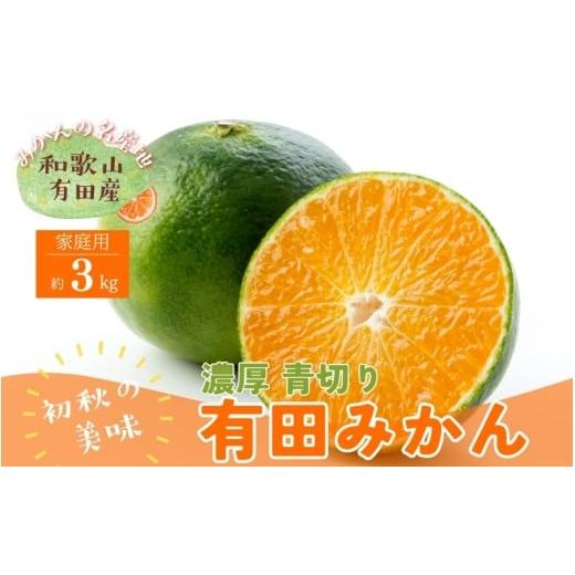 ふるさと納税 果物類 みかん 和歌山県 かつらぎ町 訳あり・ご家庭用 青切り有田みかん 約3kg+200g(痛み補償分) 2026年9月中旬〜10月上旬頃に順次発送予定 約…