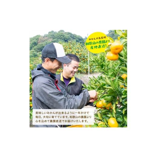 ふるさと納税 果物類 みかん 和歌山県 かつらぎ町 農園直送 完熟有田みかん 約1kg+200g サイズ混合 2026年11月中旬〜11月下旬頃に順次発送予定 |  | 02
